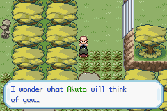 Pokémon Gaia Version